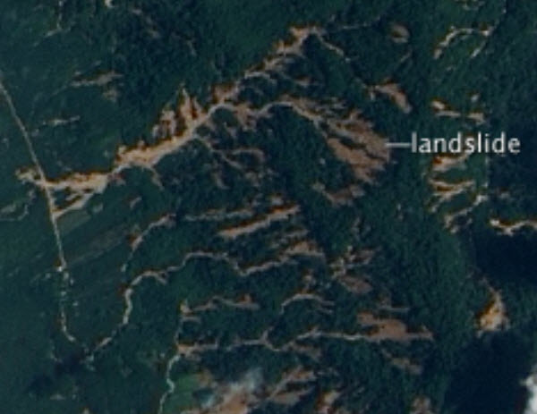 มกราคม 2560 : น้ำท่วมใหญ่ภาคใต้